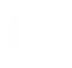 White Google icon
