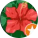 image 2026 05 01T030043.529